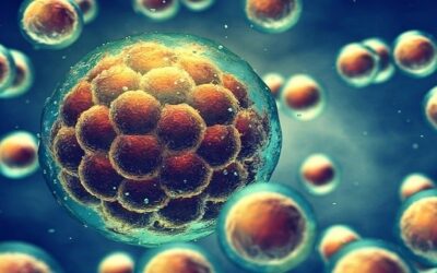 Utjecaj fizičke aktivnosti na naše hormone