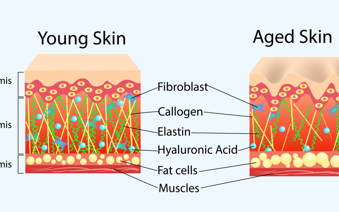 Utjecaj prehrane na našu kožu